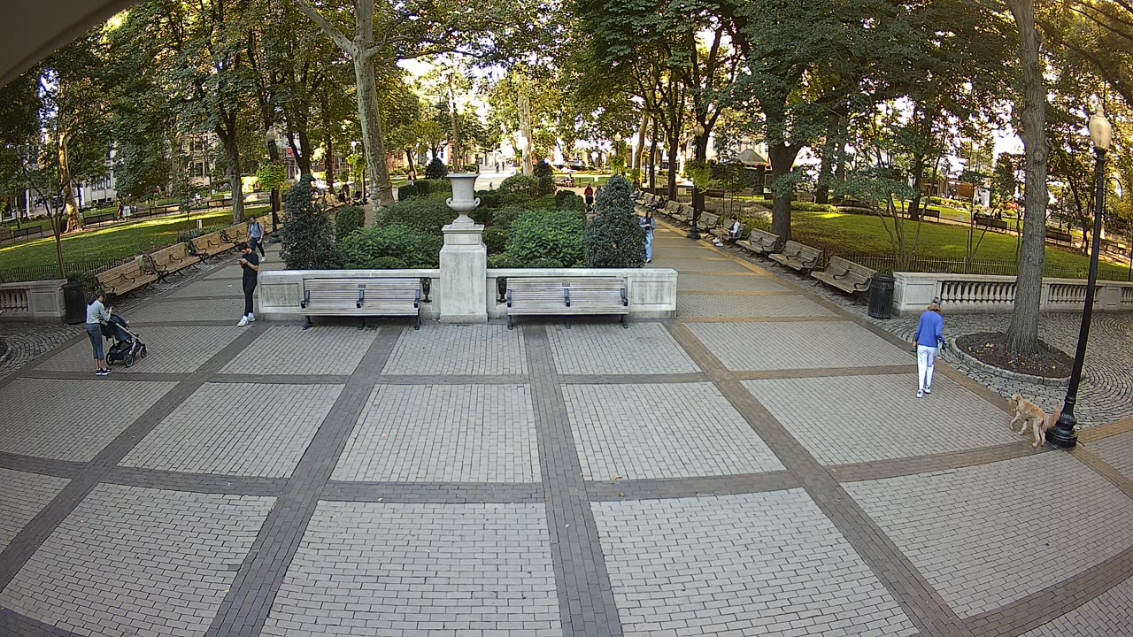 Rittenhouse Square Christmas Tree — Philadelphia, PA live camera thumbnail
