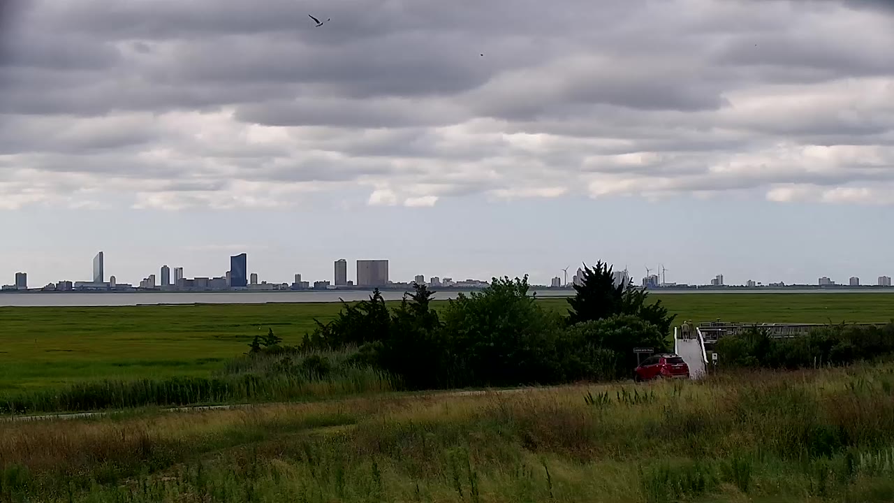 Forsythe Wildlife Refuge PTZ Camera — Oceanville, NJ live camera thumbnail