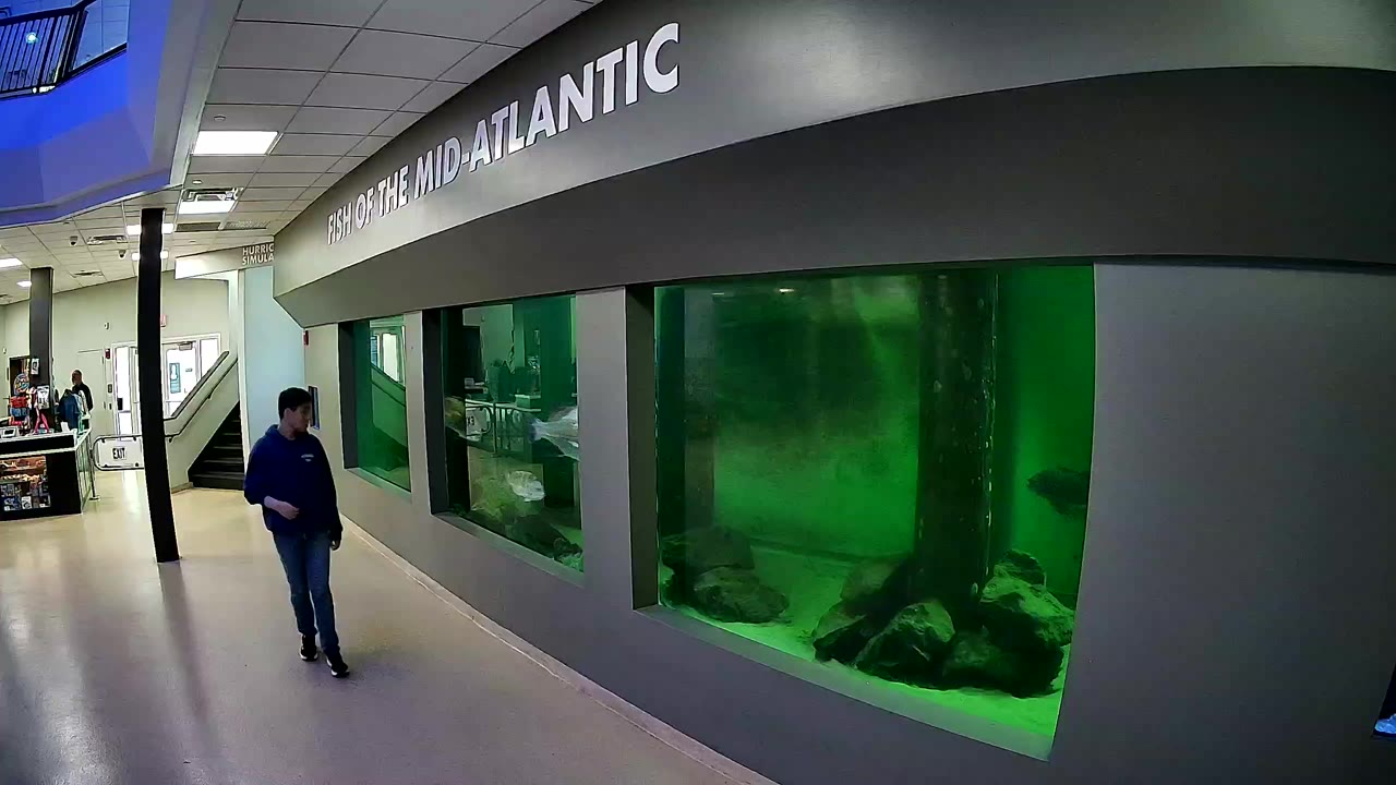 Atlantic City Aquarium Main Tank — Atlantic City, NJ live camera thumbnail