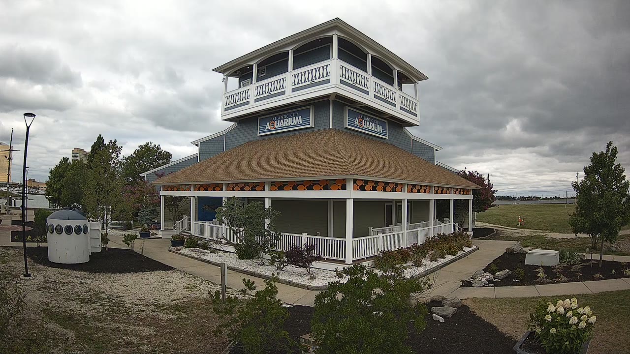 AC Aquarium Front Lawn — Atlantic City, NJ live camera thumbnail
