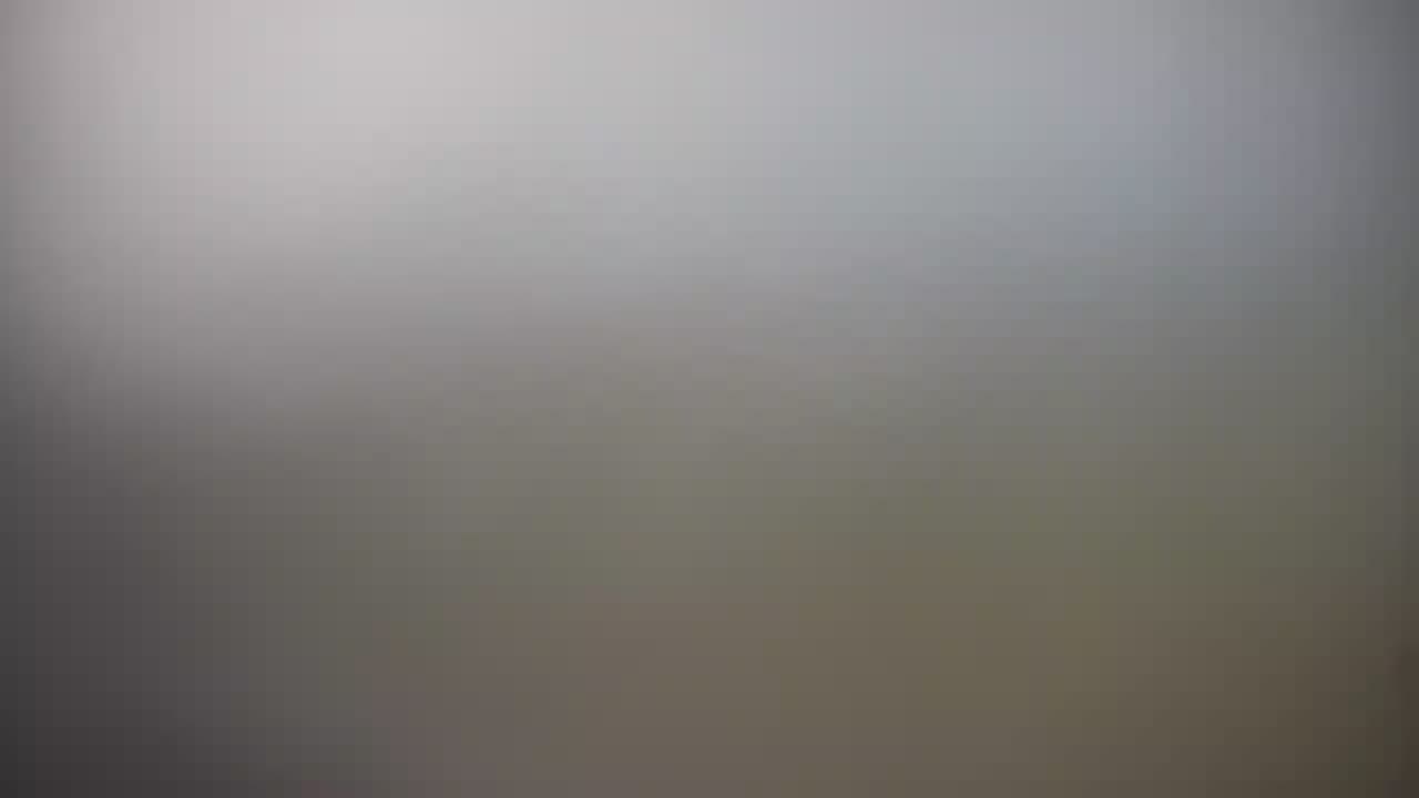 Margate Fishing Pier Beach South — Margate, NJ live camera thumbnail
