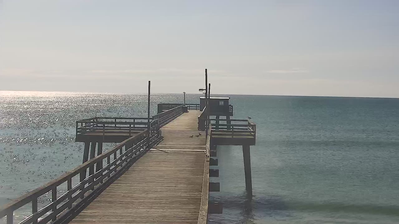 Avalon Fishing Pier PTZ East — Avalon, NJ live camera thumbnail