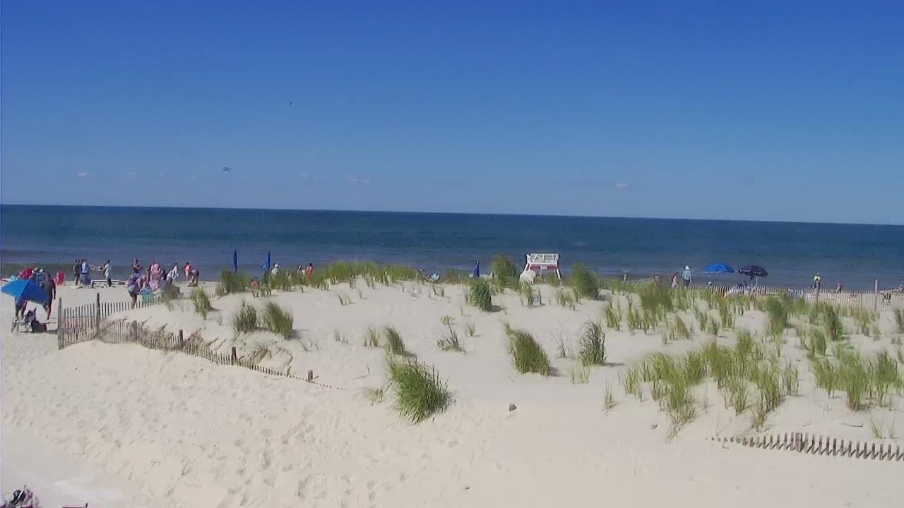 The Cove in Cape May Surf Cam — Cape May, NJ live camera thumbnail